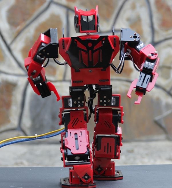 RC Humanoid Robot 19 DOF